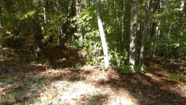 Listing photo 2 for 0 Inland Ct, Sparta TN 38583