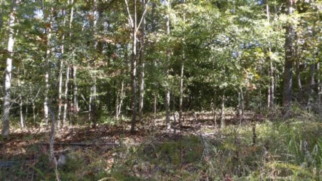 0 Inland Ct, Sparta, TN 38583 - photo 13