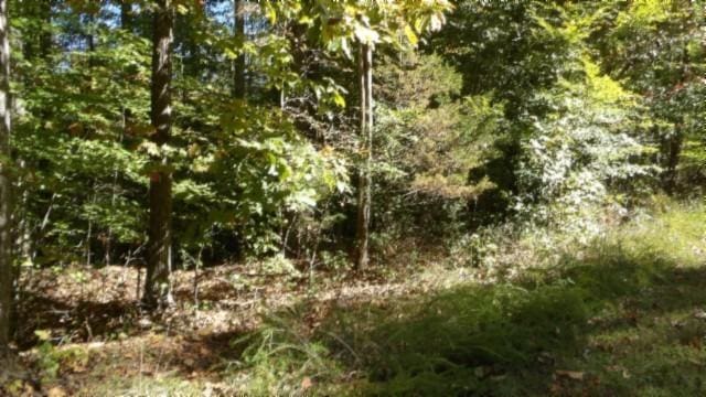 0 Inland Ct, Sparta, TN 38583 - photo 24