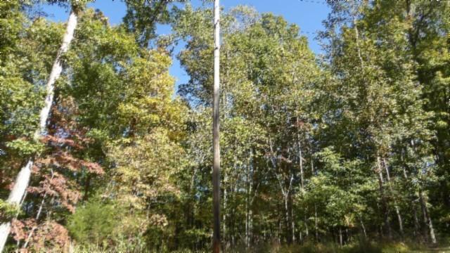 0 Inland Ct, Sparta, TN 38583 - photo 11
