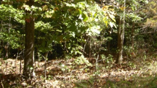 0 Inland Ct, Sparta, TN 38583 - photo 23