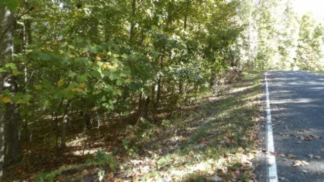 0 Inland Ct, Sparta, TN 38583 - photo 8