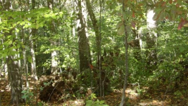 0 Inland Ct, Sparta, TN 38583 - photo 9