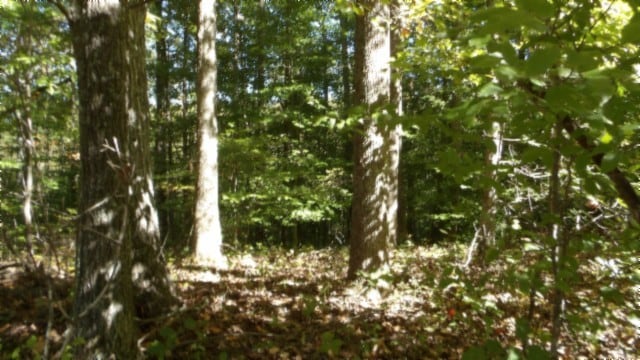 0 Inland Ct, Sparta TN, 38583 land for sale