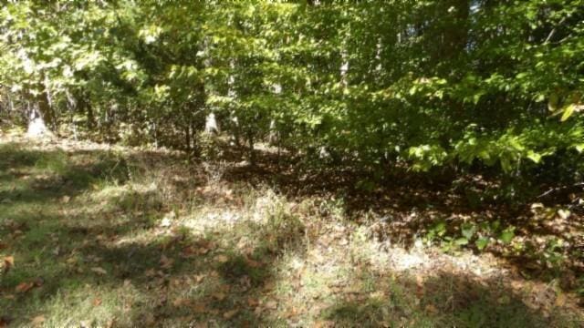 0 Inland Ct, Sparta, TN 38583 - photo 25