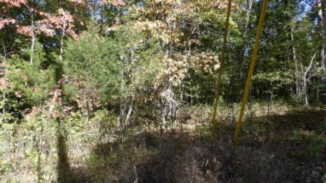 0 Inland Ct, Sparta, TN 38583 - photo 15