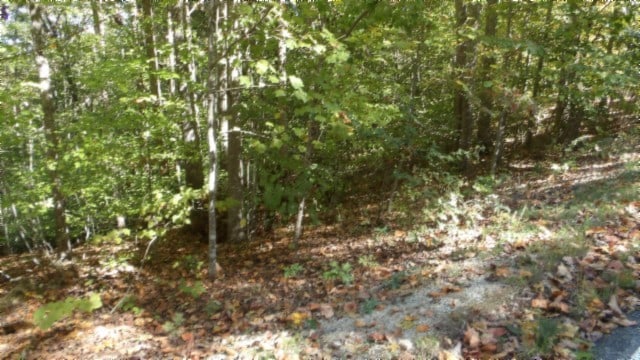 Listing photo 3 for 0 Inland Ct, Sparta TN 38583