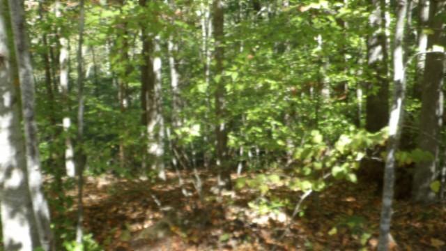 0 Inland Ct, Sparta, TN 38583 - photo 4