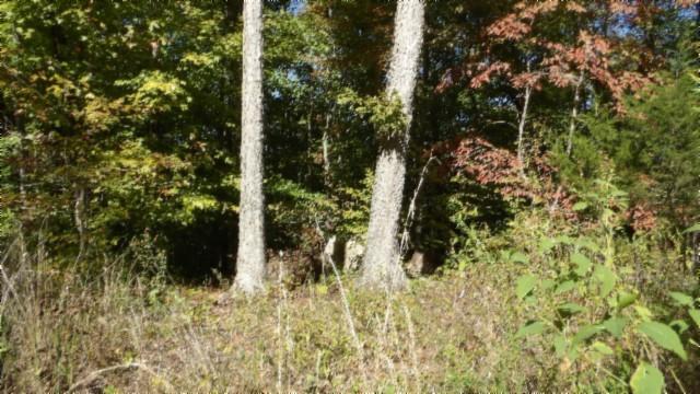 0 Inland Ct, Sparta, TN 38583 - photo 14