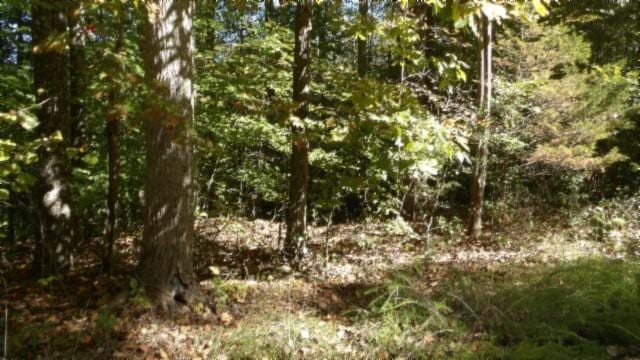0 Inland Ct, Sparta, TN 38583 - photo 22