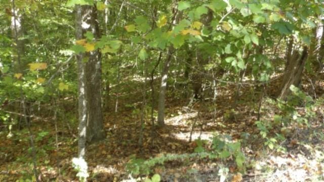 0 Inland Ct, Sparta, TN 38583 - photo 7