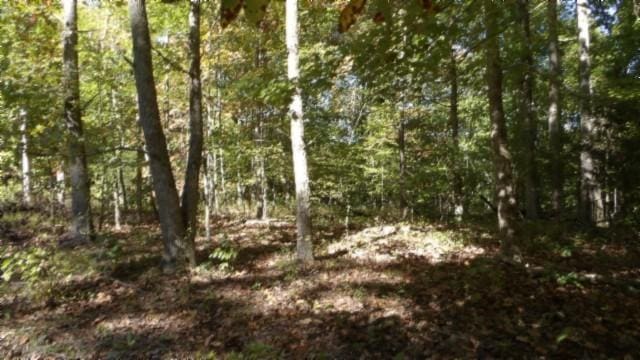 0 Inland Ct, Sparta, TN 38583 - photo 21