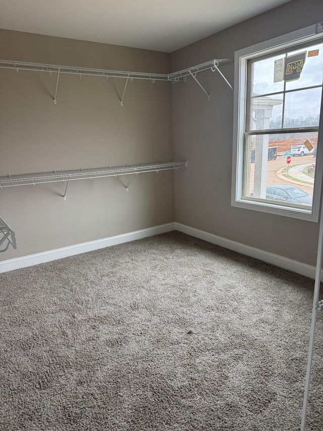 spacious closet with carpet flooring