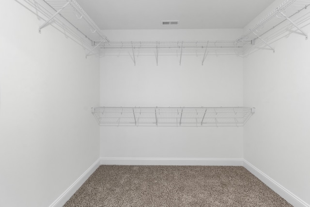 walk in closet with carpet floors