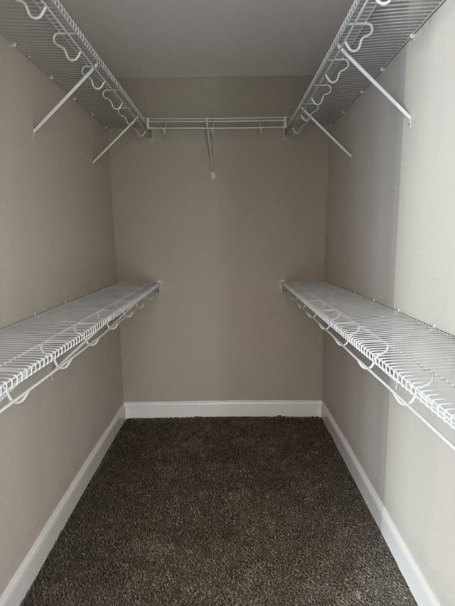 spacious closet with carpet flooring