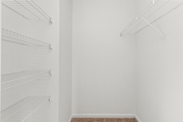 walk in closet featuring carpet flooring