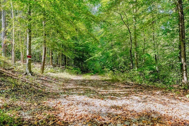 0 Bolestown Loop, Alpine TN, 38543 land for sale