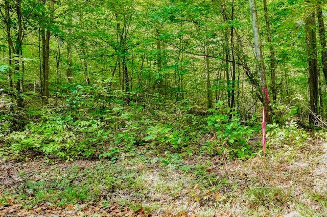 0 Bolestown Loop, Alpine TN, 38543 land for sale