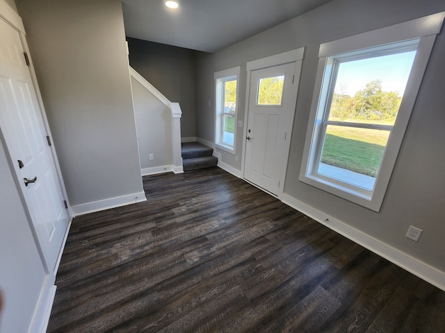 foyer featuring a wealth of natural light and dark hardwood / wood-style flooring