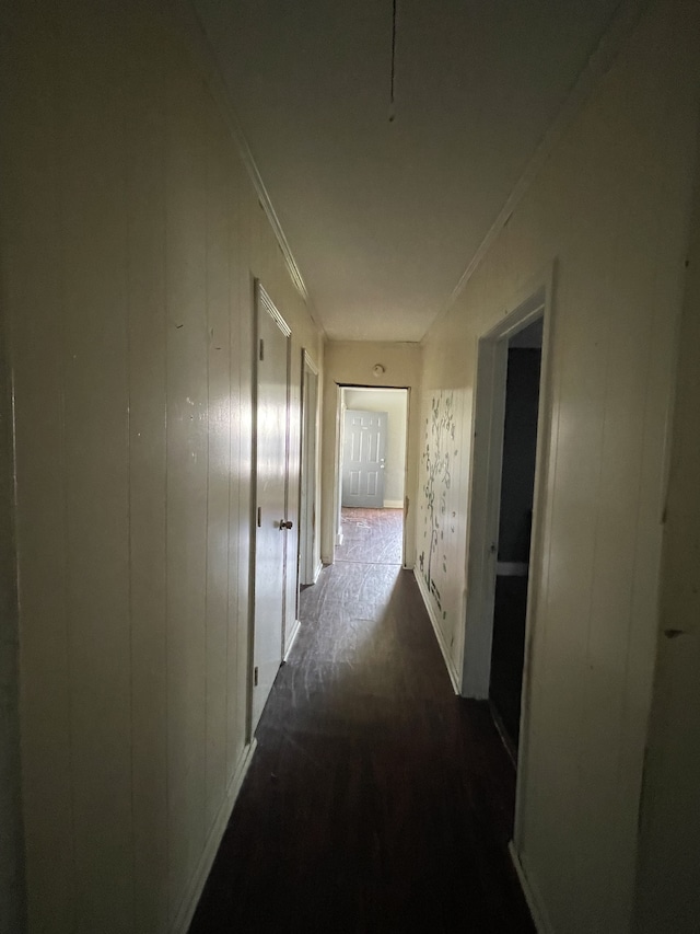 hallway with crown molding and wood walls