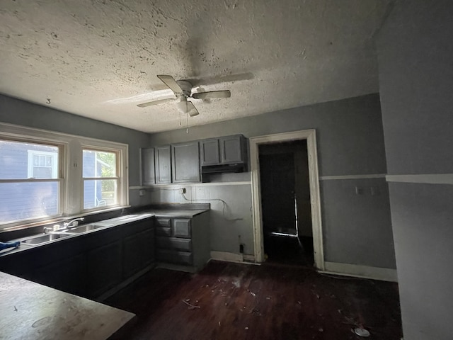 kitchen with ceiling fan, a textured ceiling, dark wood-type flooring, gray cabinets, and sink