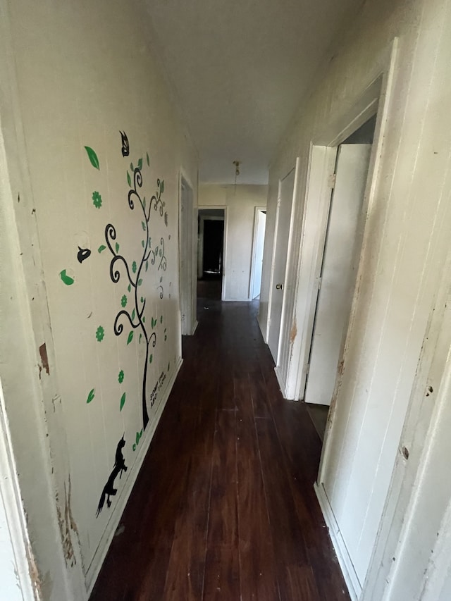 corridor featuring dark hardwood / wood-style flooring