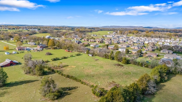 bird's eye view