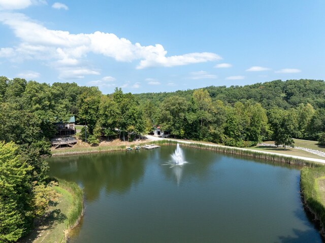 8020 Oak Springs Rd, Nunnelly, TN 37137 - photo 33