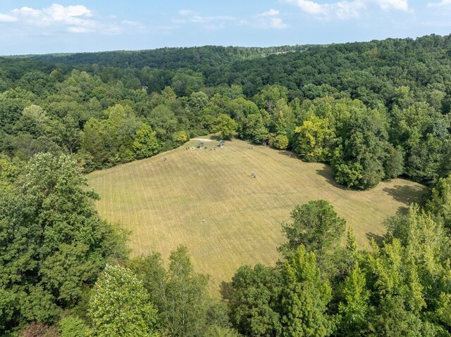 8020 Oak Springs Rd, Nunnelly, TN 37137 - photo 31