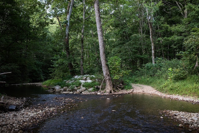 view of nature