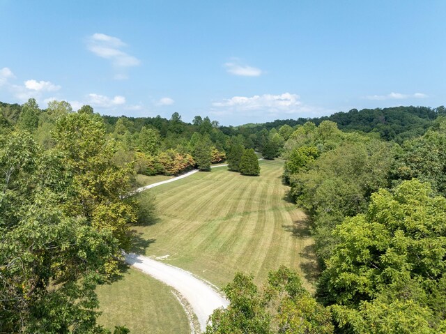 8020 Oak Springs Rd, Nunnelly, TN 37137 - photo 9