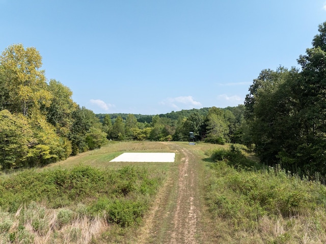 8020 Oak Springs Rd, Nunnelly, TN 37137 - photo 64