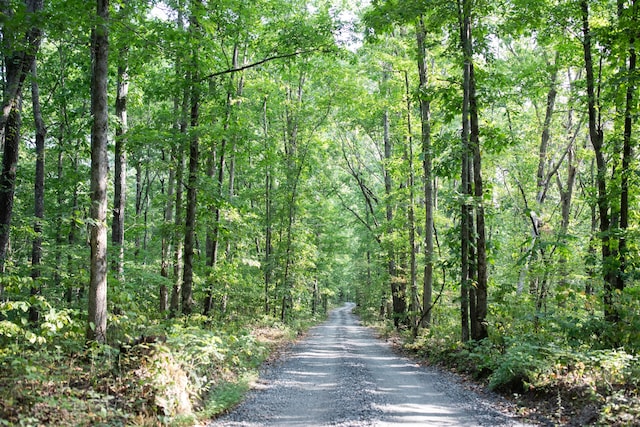 view of road