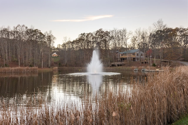 view of water feature