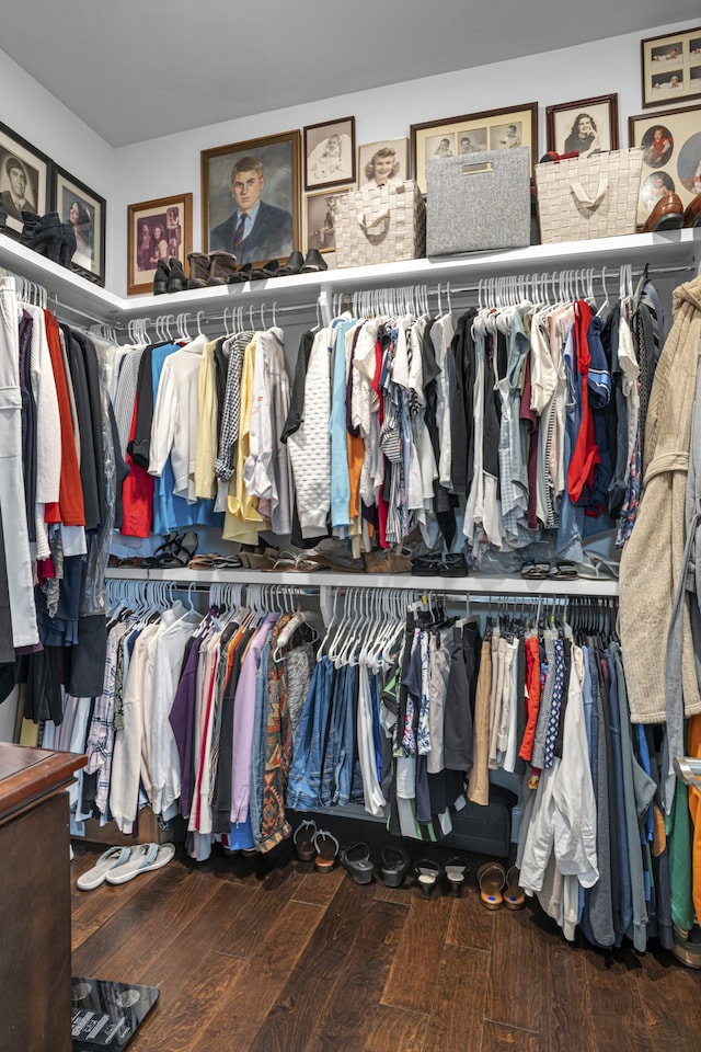 spacious closet with hardwood / wood-style floors