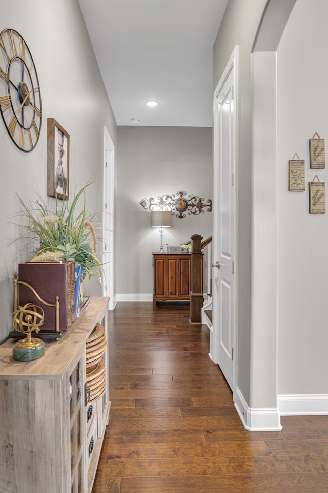 hall featuring dark wood-type flooring