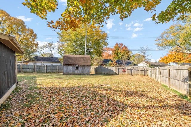 view of yard featuring a shed