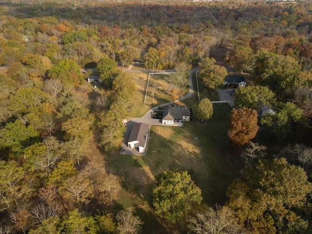 bird's eye view