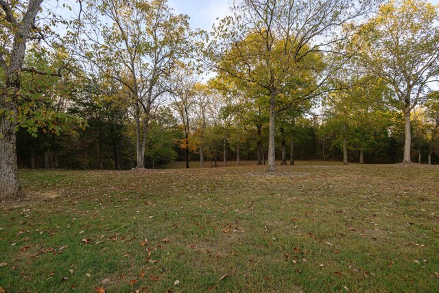 255 Troupe Rd, Shelbyville, TN 37160 - photo 58
