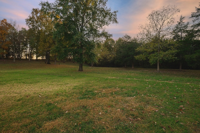 view of yard at dusk