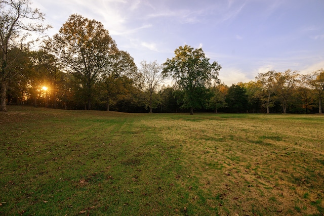 view of yard at dusk