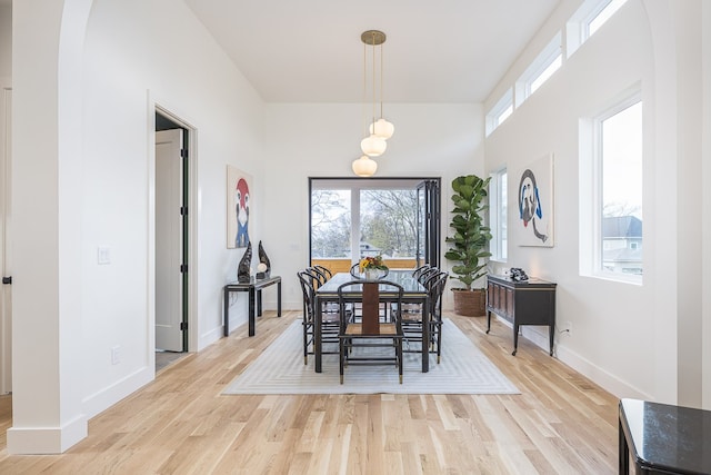 dining space with light hardwood / wood-style flooring