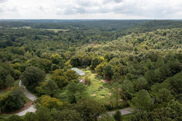 694 Napier Rd, Hohenwald, TN 38462 - photo 3