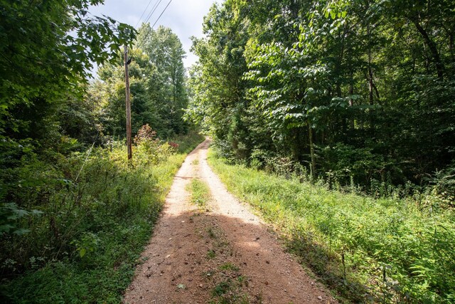 694 Napier Rd, Hohenwald, TN 38462 - photo 9