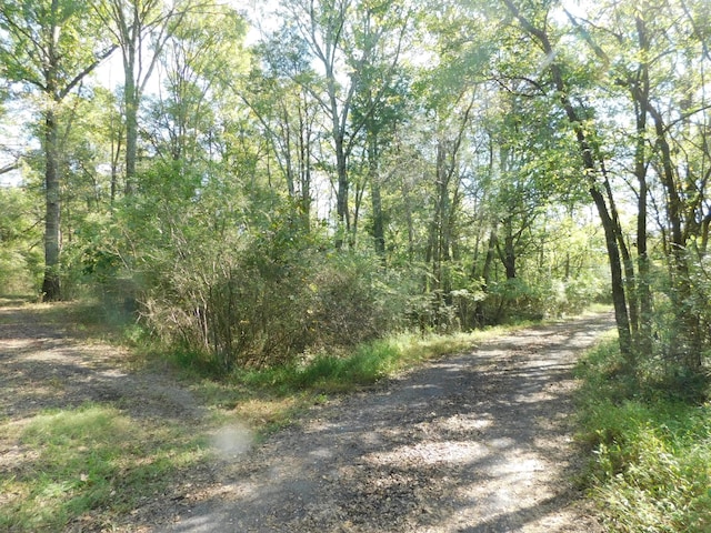 1101B Hidden Cove Rd, Gallatin, TN 37066 - photo 4