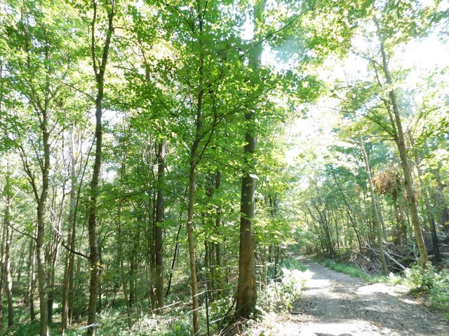 1101B Hidden Cove Rd, Gallatin, TN 37066 - photo 3