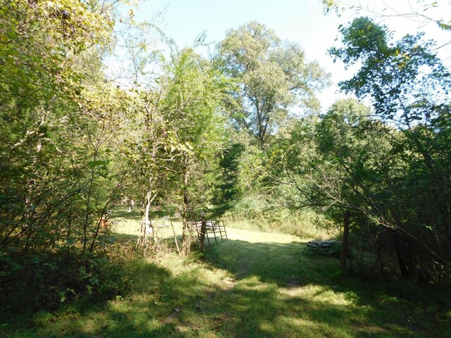 1101B Hidden Cove Rd, Gallatin, TN 37066 - photo 6