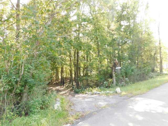 1101B Hidden Cove Rd, Gallatin TN, 37066 land for sale