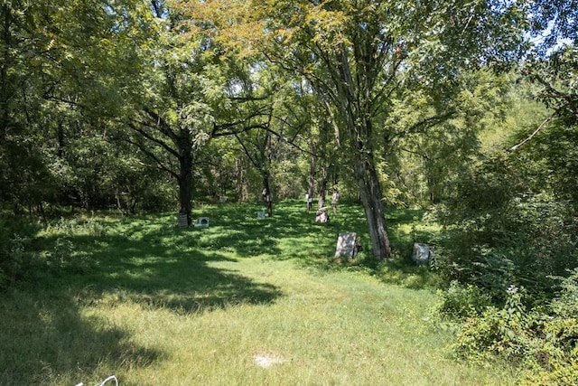 1101B Hidden Cove Rd, Gallatin, TN 37066 - photo 9