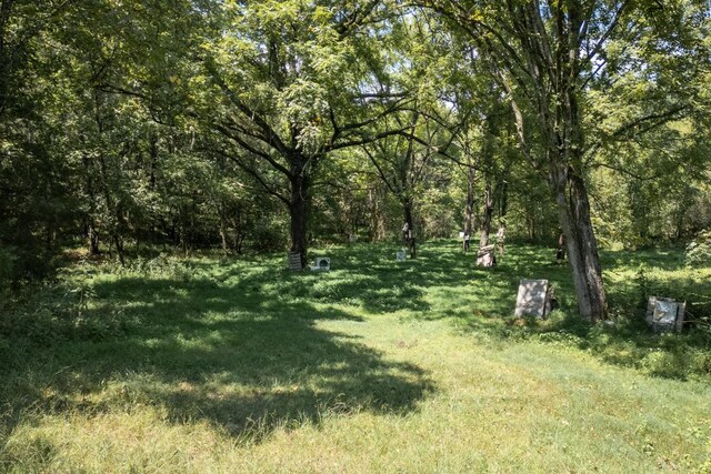 1101B Hidden Cove Rd, Gallatin, TN 37066 - photo 8